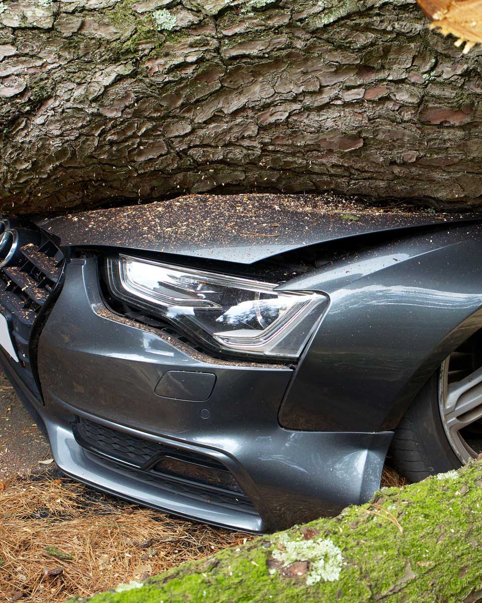 insurance claims assistance