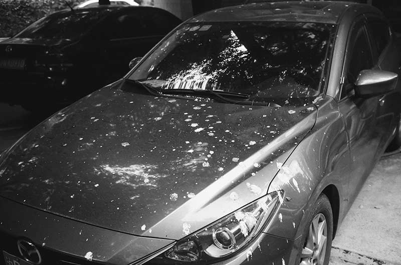 spot hidden hail damage